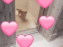 -成都恒博医院·全科检查