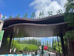 -黄海国家森林公园