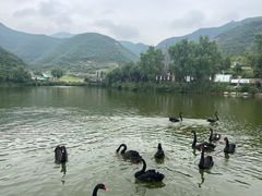 -静之湖度假区