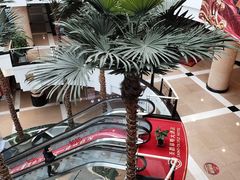 -圣爵菲斯大酒店(长沙世界之窗店)
