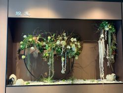 -太湖雪蚕桑文化园