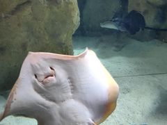 -珠海长隆海洋王国