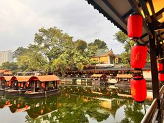 -侨美·唐荔园·40年地道粤菜