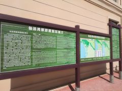 -仙浴湾广场