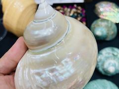 -中国湿地博物馆