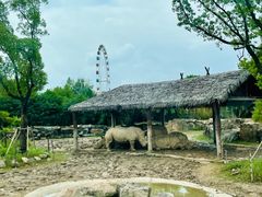 -上海野生动物园