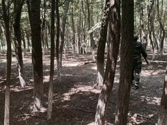-亲兄弟真人CS团建拓展基地