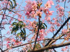 -华南国家植物园-售票处