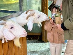-上海大自然野生昆虫馆(东方明珠·爬宠昆虫探索中心)