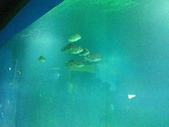 android_upload_pic-秦皇岛乐岛海洋王国