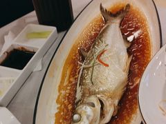 -全聚德(上海首店浦东店)
