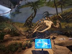 -自贡恐龙博物馆