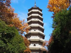 -灵谷景区