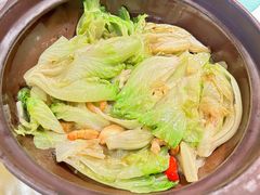 啫啫生菜煲-陶陶居·雅园(凯华国际店)