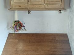 -金山农民画村-枫泾波兰倒置屋