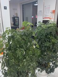 -阿三造型烫染•接发