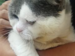 -贝利宠物医院·骨科·眼科·肿瘤转诊中心(南坪诊疗中心)