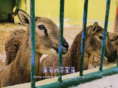 -荆州中山公园动物园