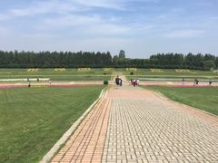 沈阳世博园-沈阳植物园