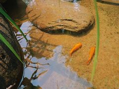 景观位-瑭风赏阁