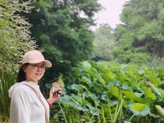 -洛阳市隋唐城遗址植物园