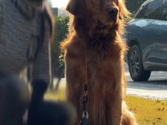 -杭州城北体育公园