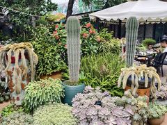 -山菌美食苑(振兴路店)