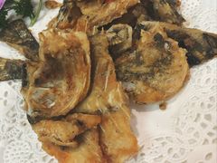 -寻味顺德·南记酒家·传统顺德菜·鱼生(广源路店)