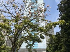 -天河体育中心