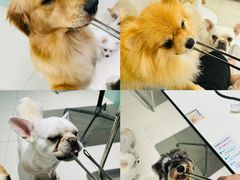 -怪兽屋·羊驼·猫咖·狗咖(俊华广场店)