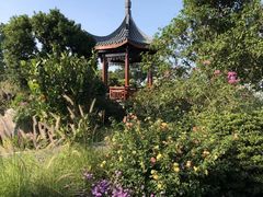 -东莞植物园