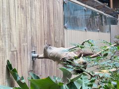 -香港海洋公园