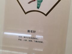 -苏州丝绸博物馆