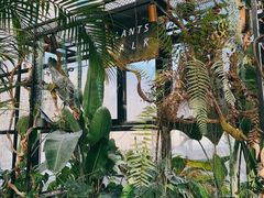-北马山庄植趣咖啡