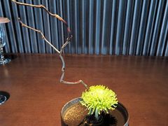 -大拙里·精致融合菜(沙湖桃源国际店)