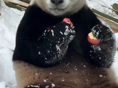 -栾川竹海野生动物园