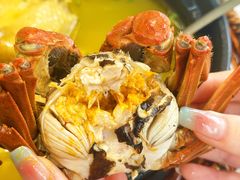-蟹天蟹地农家菜·阳澄湖大闸蟹(浅水湾店)