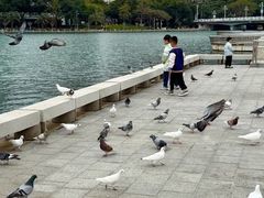 -白鹭洲公园