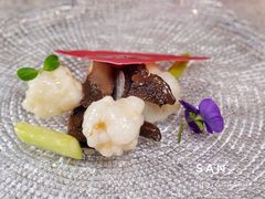 黑虎掌菌龙虾球-鱼桥巷·美学川菜