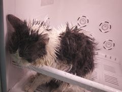 -萌小它宠物健康管理中心(怡海家园店)