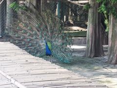 -南京金牛湖风景区