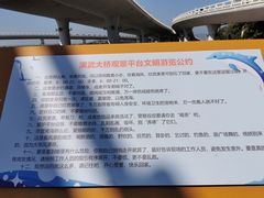 -演武大桥观景平台
