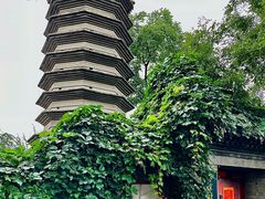 -正阳书局(西四南大街店)