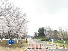 -星巴克(无锡百联奥特莱斯店)