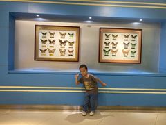 -上海昆虫博物馆