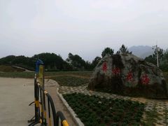 -广州市流溪河国家森林公园