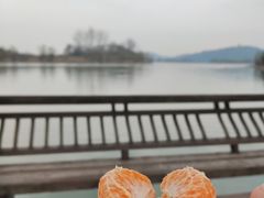 -渤公岛生态公园