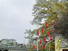 -梅州天地人花园酒店(梅县人民广场店)