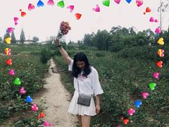 -三圣花乡旅游区