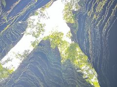 -梭布垭石林景区